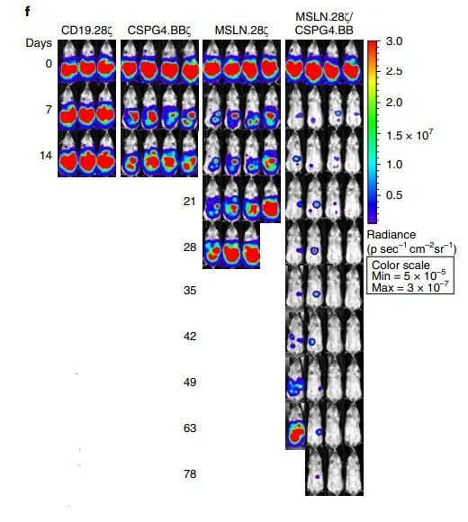 1632712015839788.jpg 1632641138140.jpg